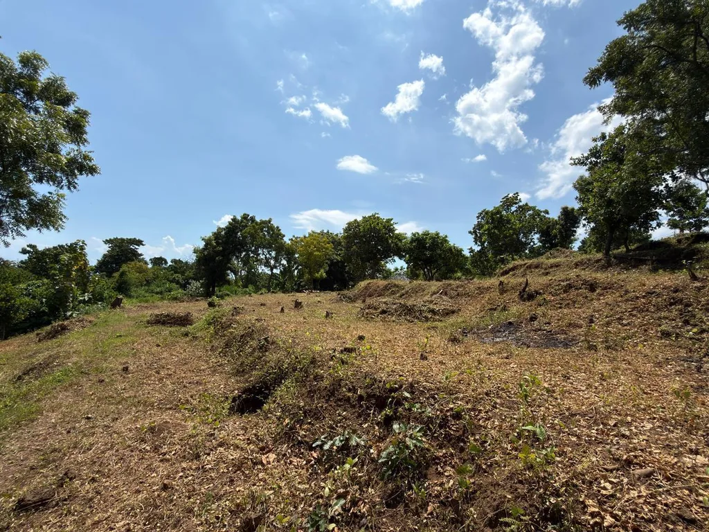 Terraced Land, Pacung North Bali 3,400m², Sea View — photo 5