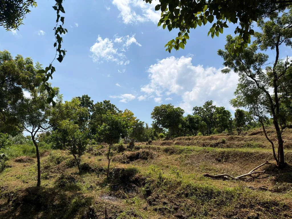 Terraced Land, Pacung North Bali 3,400m², Sea View — photo 2